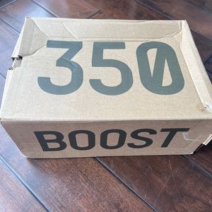 Yeezy Boost 350 Size 8.5